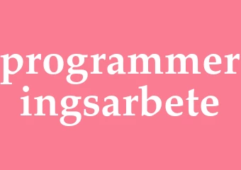 Synonym programmeringsarbete