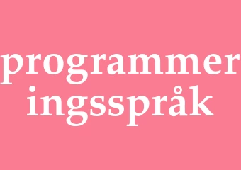Synonym programmeringsspråk