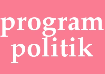 Synonym programpolitik