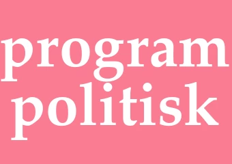 Synonym programpolitisk