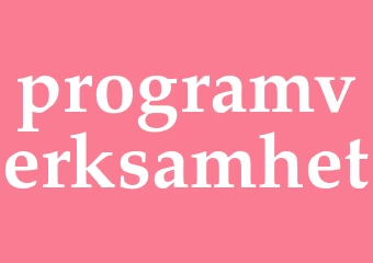 Synonym programverksamhet