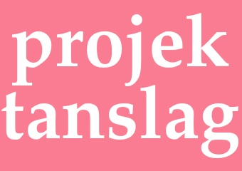 Synonym projektanslag