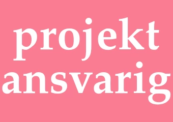 Synonym projektansvarig