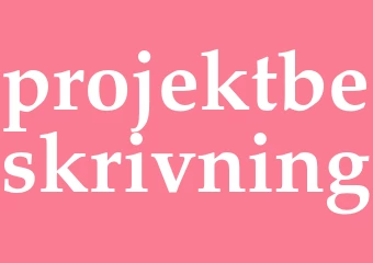 Synonym projektbeskrivning