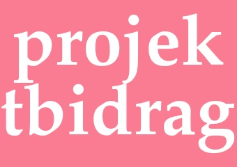 Synonym projektbidrag