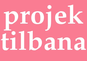 Synonym projektilbana