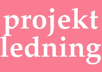 Synonym projektledning