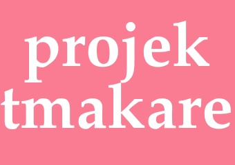 Synonym projektmakare