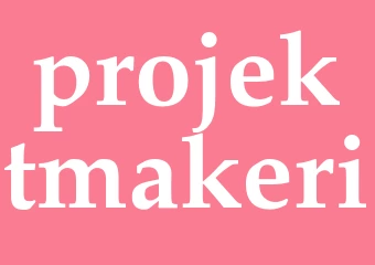 Synonym projektmakeri