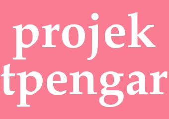 Synonym projektpengar
