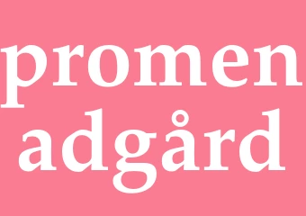 Synonym promenadgård