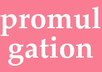 Synonym promulgation