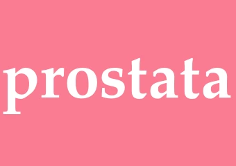 Synonym prostata