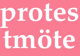 Synonym protestmöte