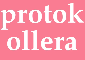 Synonym protokollera