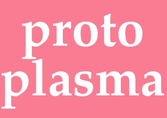 Synonym protoplasma