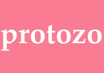 Synonym protozo