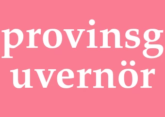 Synonym provinsguvernör