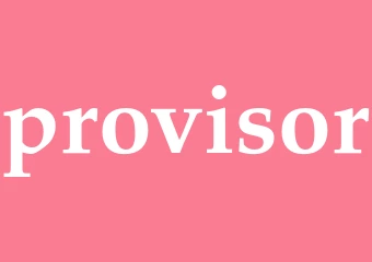 Synonym provisor