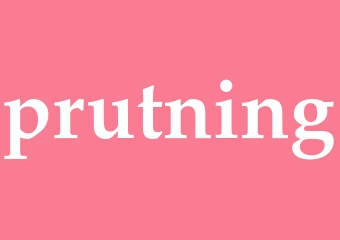 Synonym prutning