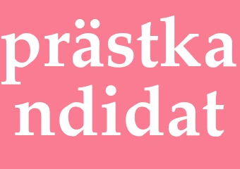 Synonym prästkandidat
