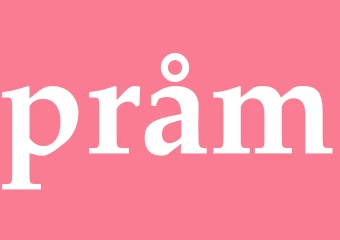 Synonym pråm