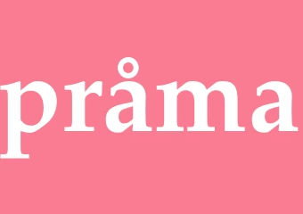 Synonym pråma