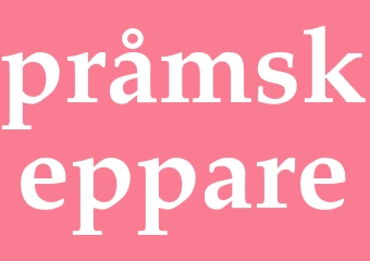 Synonym pråmskeppare