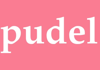 Synonym pudel