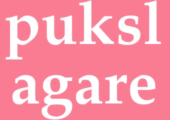 Synonym pukslagare
