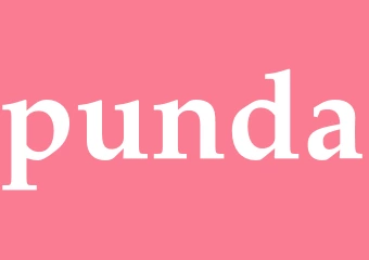 Synonym punda