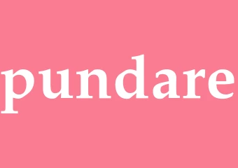 Synonym pundare