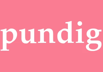 Synonym pundig