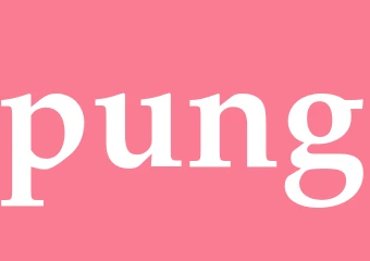 Synonym pung
