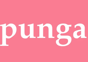 Synonym punga