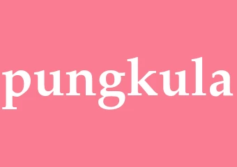 Synonym pungkula