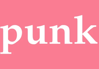 Synonym punk