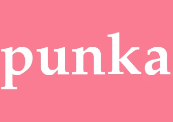 Synonym punka