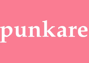 Synonym punkare