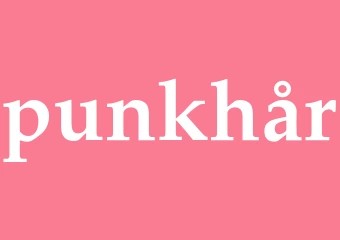 Synonym punkhår