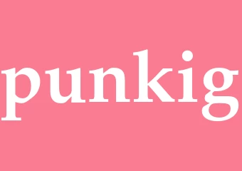 Synonym punkig