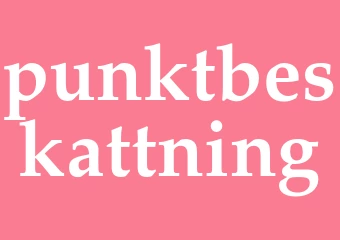 Synonym punktbeskattning