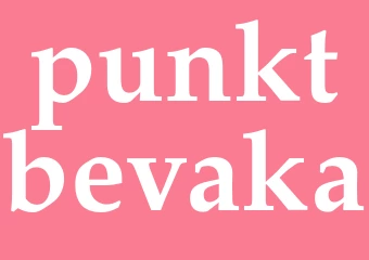 Synonym punktbevaka