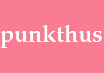 Synonym punkthus