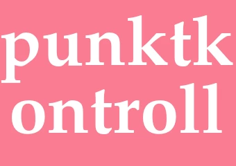 Synonym punktkontroll