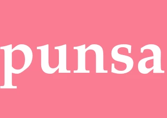 Synonym punsa