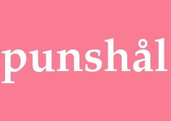 Synonym punshål