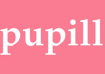 Synonym pupill