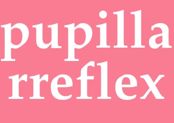 Synonym pupillarreflex