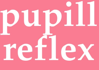 Synonym pupillreflex